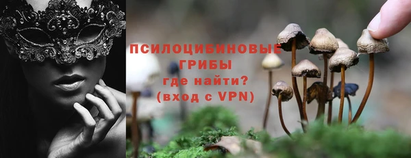 индика Абдулино