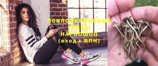 каннабис Алексеевка