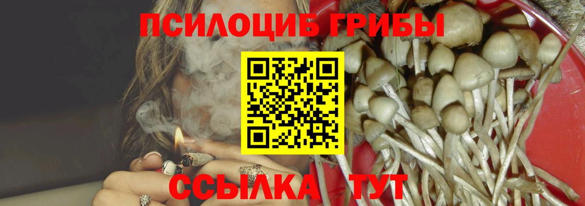 Галлюциногенные грибы прущие грибы Фрязино